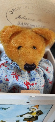 Vintage teddybär der kiste - in,