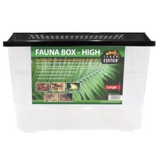 Terra Exotica Fauna Box High -