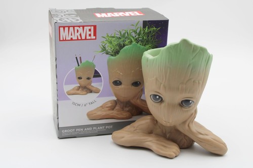 Groot flower pot - -,