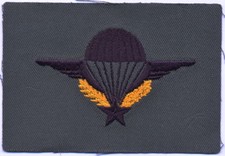 Fallschirmspringerabzeichen,Fr