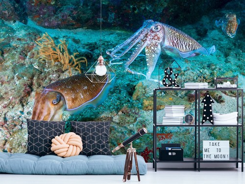 Meer tintenfisch q4872 - meer,