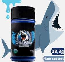 Plant Success - Great White