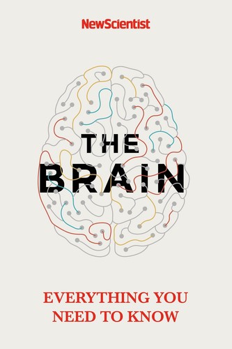 The brain scientist new - the,
