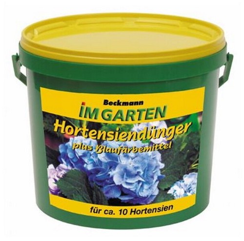 Hortensien dünger - hortensien,