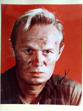 !!! SALE !!! RICHARD WIDMARK orig. signiert – 20x25 cm