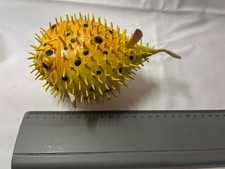 Kugelfisch Gummi Spielzeugfigur 17x10cm gebraucht