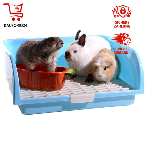 Kaninchentoilette quadratisch