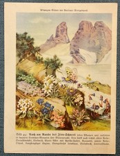 Natur-Bilder + Berliner
