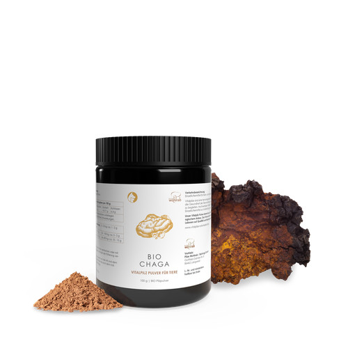Pilze wohlrab chaga - pilze, |