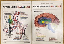 Malatlas neuroanatomie und - malatlas,