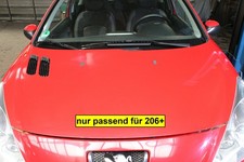 Motorhaube Peugeot 206+ 60