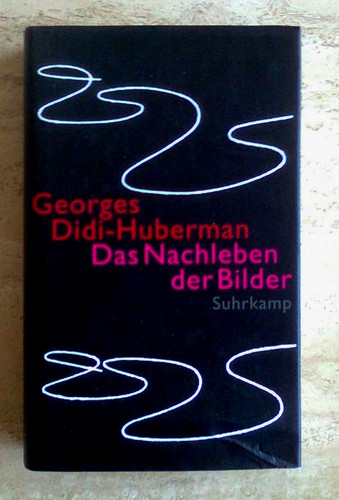 Das nachleben der bilder - der,
