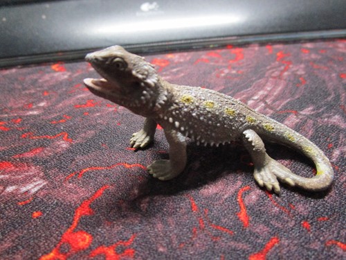 Schleich wild life bartagame - wild,