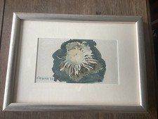 Otto Klocke - Enger NRW -