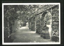 Ansichtskarte Würzburg, Hofgarten - Laubengang im Ostgarten 