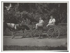 XX2751/ Kutsche Pony  Original Foto 11,5 x 9 cm  ca.1925