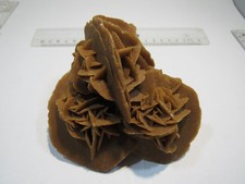 S286 Gips Selenit Sandrose sehr schöne Schwimmer Stufe 12cm Sahara Marokko, rar