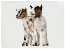 4er Set Tischsets Unterseite