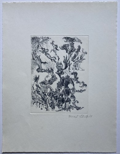 Bernard schultze - bernard,