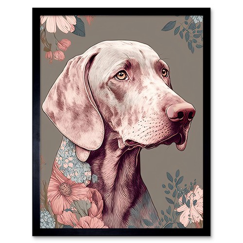 Weimaraner hund portrait mit - hund,