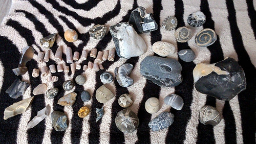Steine mineralien fossilien - steine,,
