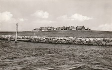AK Hallig Oland von 1961