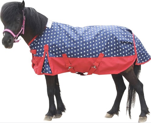 Mini shetland pony fohlen - shetland,