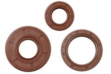 Simmerringe zum Motor für IWL