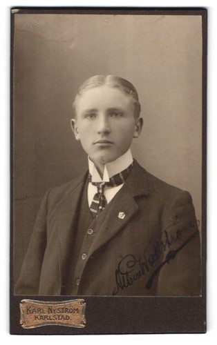 Fotografie karl nyström - fotografie,
