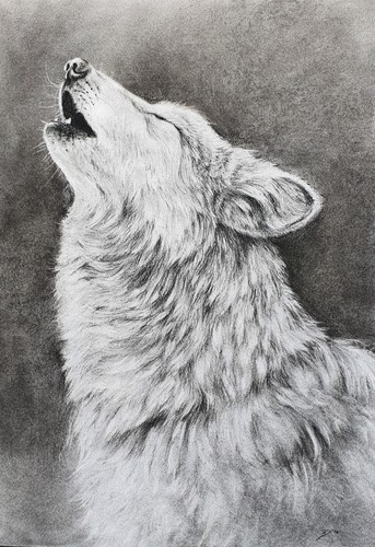 Original kohlezeichnung 30x42 - kohlezeichnung,,