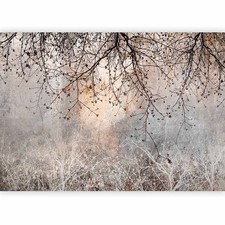 Vlies Fototapete Foto Tapete