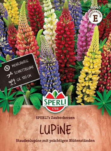 Lupine zauberkerzen - 'zauberkerzen',