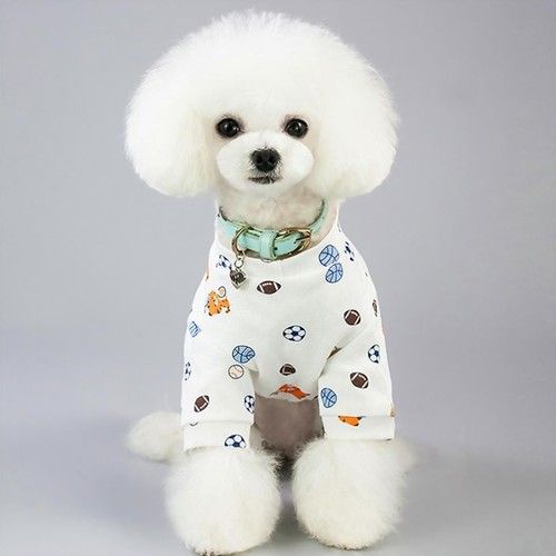 Hunde anziehsachen - ,