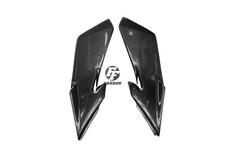 Carbon Seitenverkleidung unter