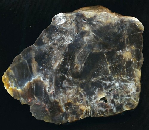 Achat agate versteinertes - achat/agate,