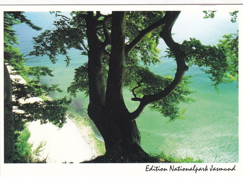 Königsstuhl nationalpark - königsstuhl,