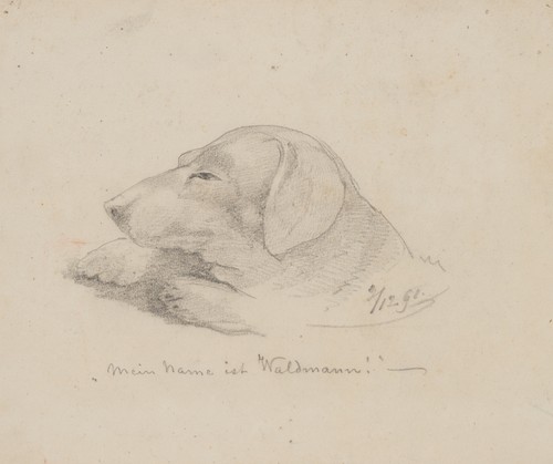 Dackel waldmann 1861 - ,