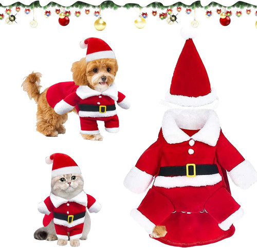 Haustier weihnachtskostüm - haustier,