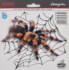 Aufkleber Sticker Tarantel