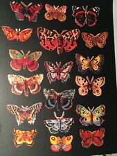 # GLANZBILDER # EF TD 7221