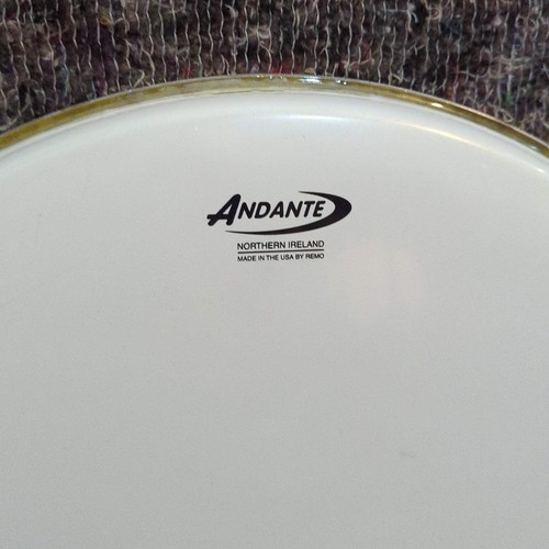 Gebrauchter remo - gebrauchter, 16′′