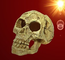 Aquarium Deko ❤ Totenkopf ❤ Totenschädel Terrarium Dekoration Zubehör Höhle