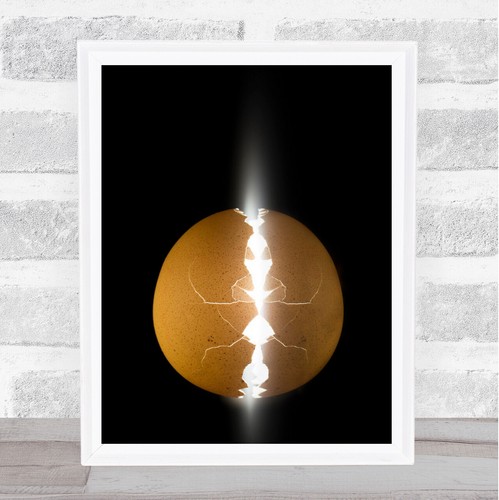 Alien egg food - egg,