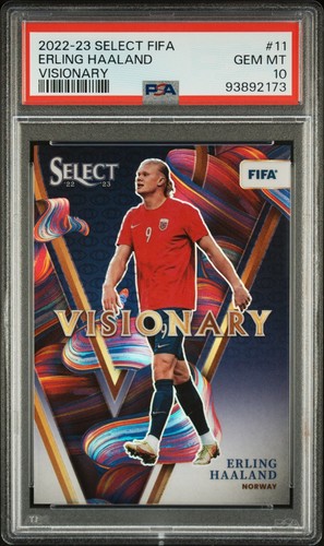Erling haaland panini select - haaland,