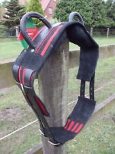 Voltigiergurt /Reithilfe mit