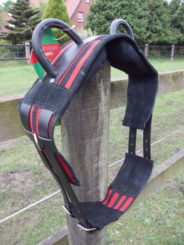 Voltigiergurt reithilfe mit - /reithilfe,