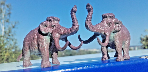 Mammut steinzeit - mammut,