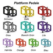 Dual Clipless/Platfotm Pedale