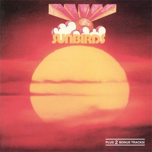 Sunbirds 2 - +,