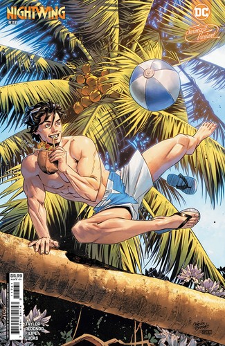 Nightwing vol 117 cover e - vol, 4